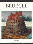 Pieter Bruegel der Ältere um 1526/31-1569. Bauern, Narren und Dämonen - náhled