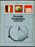 Pravěk třebíčska - náhled