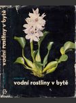 Vodní rostliny v bytě - náhled