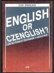 English or czenglish? - náhled