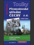 Přemyslovské střední čechy lehce poškozený kus - náhled