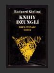 Knihy džunglí - náhled