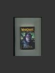 WarCraft. Válka prastarých kniha třetí Rozdělení - náhled