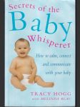 Secrets of the Baby Whisperer - náhled