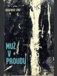 Muž v proudu - náhled