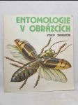 Entomologie v obrázcích - náhled