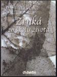 Zrnká zo školy života (malý formát) - náhled