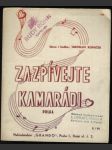 Zazpívejte kamarádi - náhled