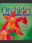 Orchidey - náhled