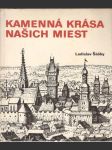 Kamenná krása našich miest (veľký formát) - náhled