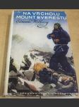 Na vrcholu Mount Everestu - náhled