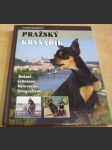 Pražský krysařík - náhled