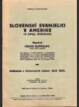 Slovenskí evanjelici v Amerike - náhled