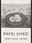 Pavel sivko - kresby, grafika, ilustrace - náhled