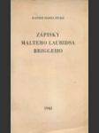 Zápisky Malteho Lauridsa Briggeho - náhled