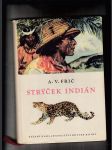 Strýček indián (Dobrodružství lovce v Gran Chaku) - náhled
