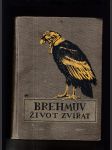Brehmův život zvířat IV. + V. - ptáci (2 sv.) - náhled