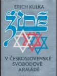 Židé v Československé Svobodově armádě - náhled