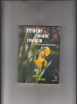 Příběhy psané životem (velké pravdy v malých příbězích) - náhled