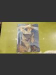 Alfons Muha (Pastely, plakáty, kresby a fotografie) - náhled