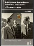 Bolševismus, komunismus a radikální socialismus v Československu I. - náhled