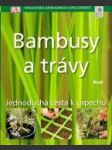 Bambusy a trávy - náhled