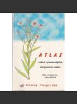 Atlas našich významnějších alergenních rostlin - náhled