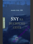 Sny na duchovnej ceste - grün anselm - náhled