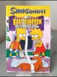 Simpsonovi 2/2017 — Sestřin šok - náhled