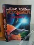 Star Trek Voyager 1 — Ochránce - náhled