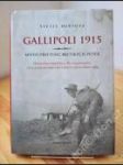 Gallipoli 1915 - náhled