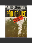 Pád Orlice - Poslední dny třetí říše [Porážka Německa - druhá světová válka 1945] - náhled