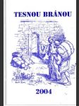 Tesnou bránou 2004 - náhled