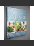 Velká kniha bylinek [léčivé rostliny, zahrada, zdraví, koření, bylinky, kuchařka, recepty] - náhled