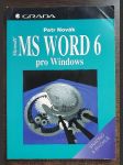 MS Word 6 pro Windows - náhled