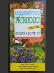 Kapesní průvodce přírodou: Zvířata a rostliny - náhled