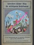 Schreibers kleiner Atlas der wichtigeren Heilpflanzen - náhled