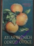 Atlas tržních odrůd ovoce - kohout karel/ kamenický karel - náhled