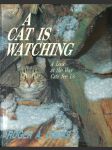 A cat is watching: A look at the Way Cats See Us - náhled