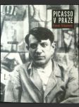 Picasso v Praze - náhled