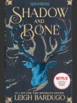Shadow and bone - náhled