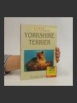 Yorkshire Terrier - náhled