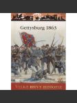 Gettysburg 1863 - Vrcholný okamžik Konfederace (Velké bitvy historie) - DVD chybí - náhled