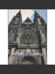 Praha kamenná - Přírodní kameny v pražských stavbách a uměleckých dílech [architektura, sochařství] - náhled