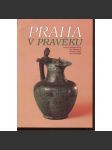 Praha v pravěku (Archaeologica Pragensia Supplementum - archeologie, pravěk) - náhled