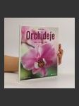 Orchideje : druhy, pěstování, péče - náhled
