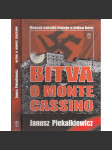 Bitva o Monte Cassino (2. světová válka) - náhled