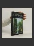Capilano: The Story of a River - náhled