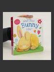 What Does Bunny Like? - náhled