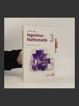 Ingenieur-Mathematik 3 - náhled